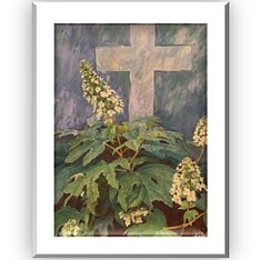 Picture9.jpg